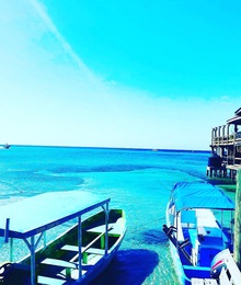 Cruise Planners